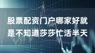 股票配资门户哪家好就是不知道莎莎忙活半天