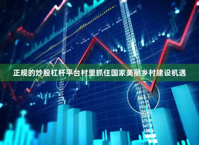 正规的炒股杠杆平台村里抓住国家美丽乡村建设机遇